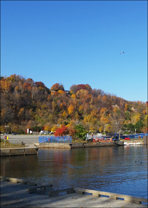 Services - Boat Ramps