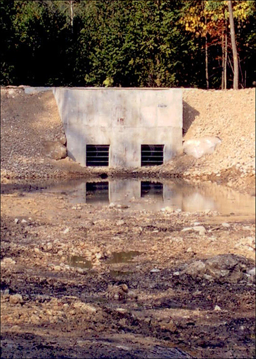 Services - Dam Building